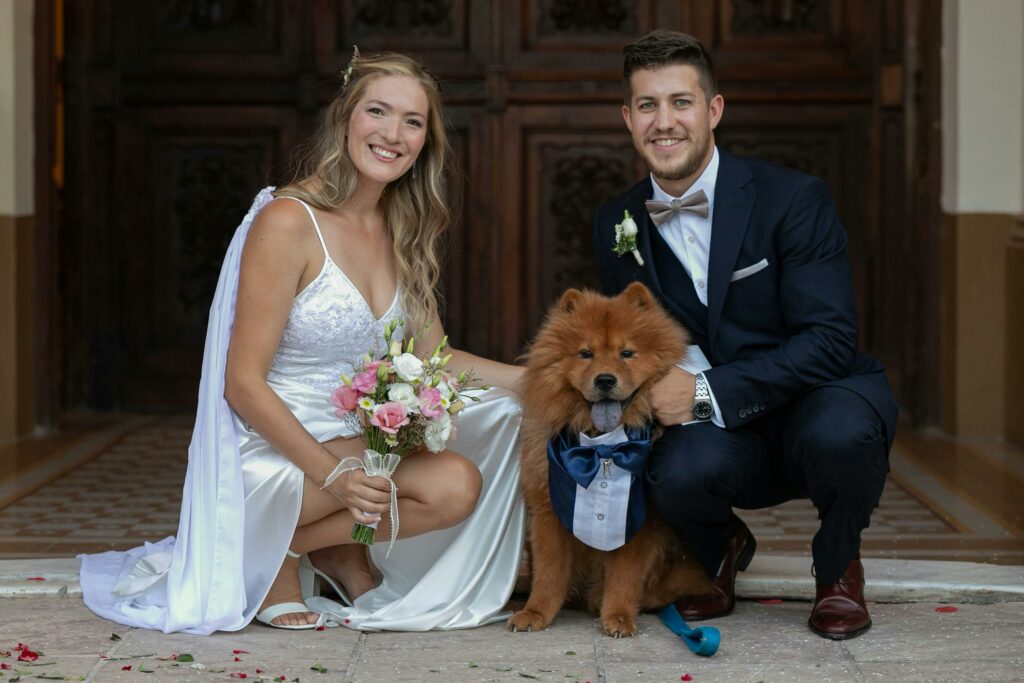 préparer son chien pour son mariage