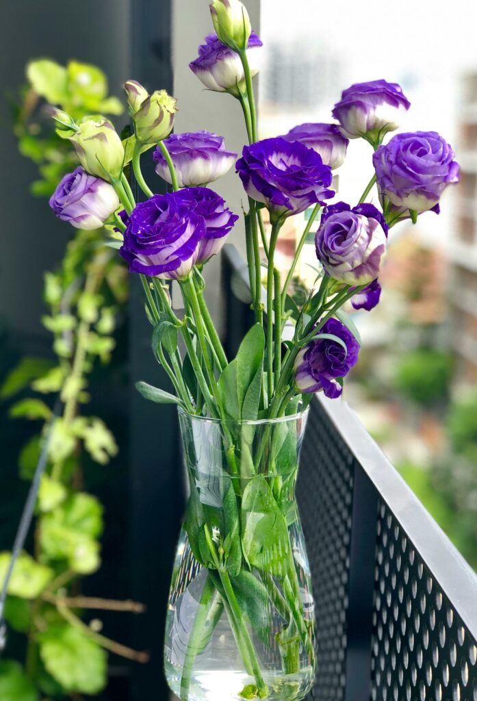 Lisianthus